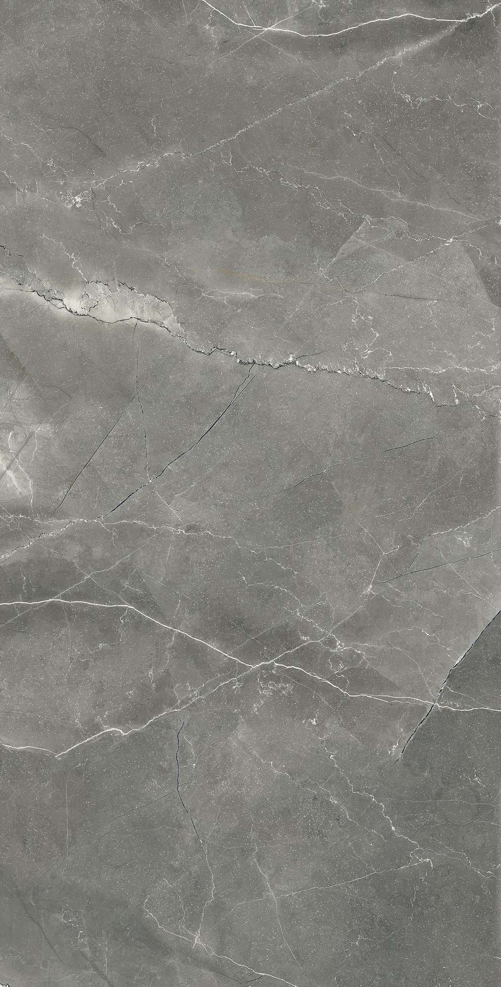 PULPIS NERO CARVING — фото 5