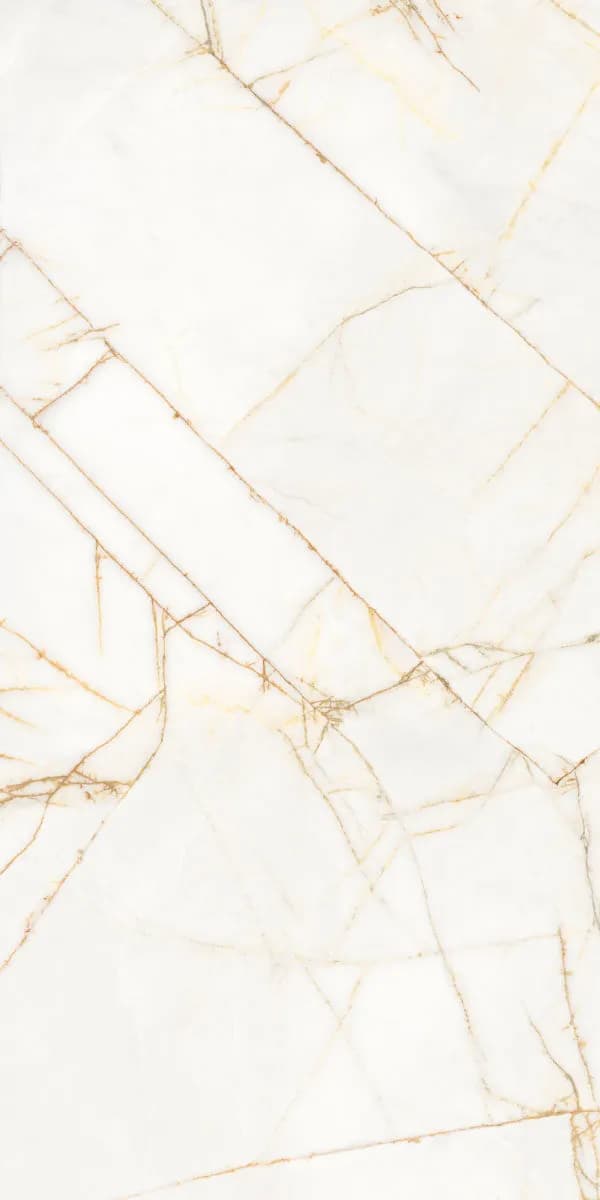 Керамогранит PF60017518 Supreme Hedonism Golden Spider Nat R 60x120 — фото 9