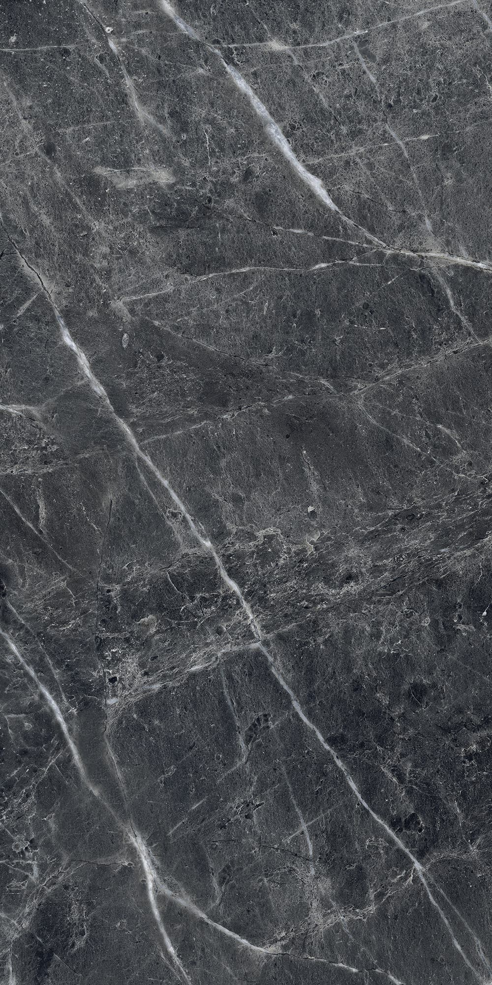 CASSERO NERO — фото 8