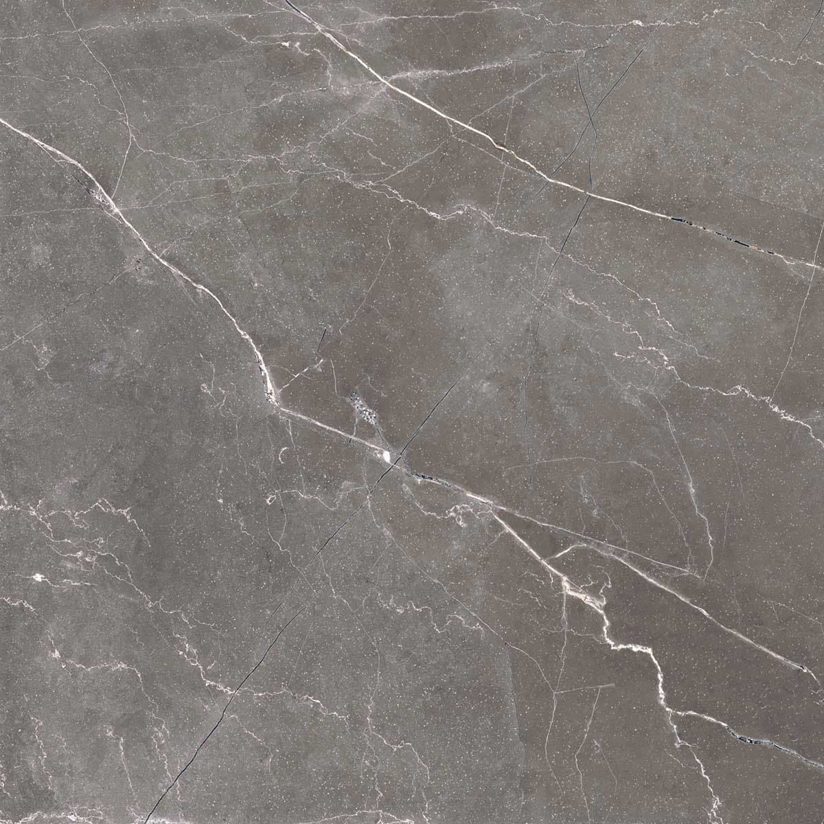 PULPIS NERO — фото 12