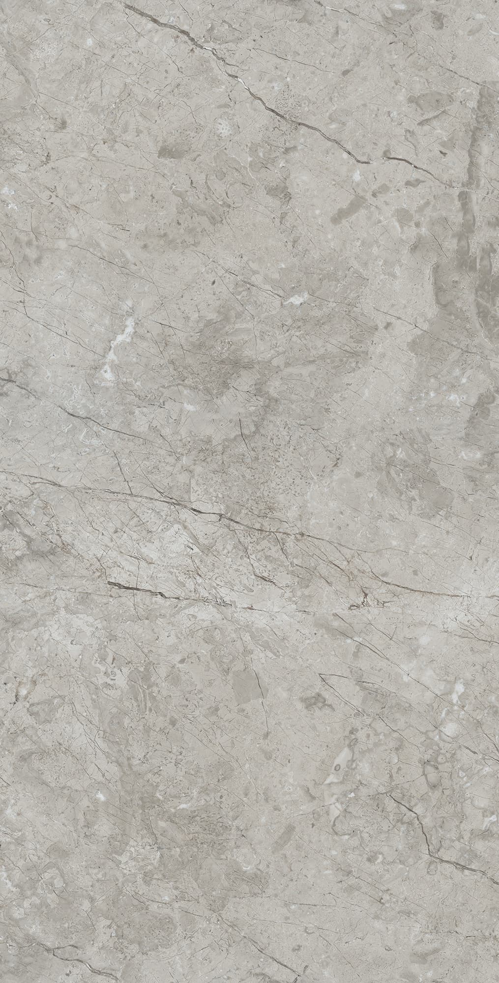 MARCUS GRACIA — фото 7